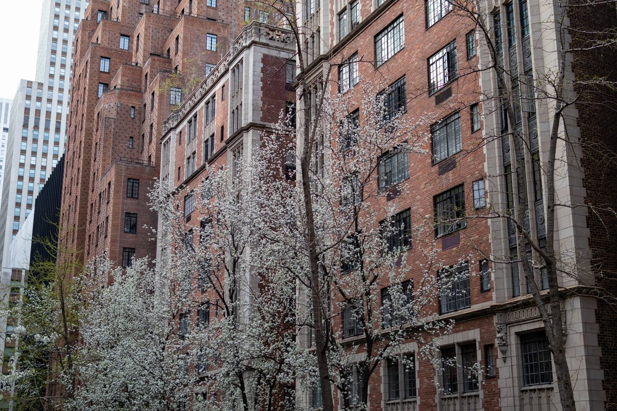 Murray Avenue Area, NY - Murray Hill & Kips Bay Neighborhood Guide